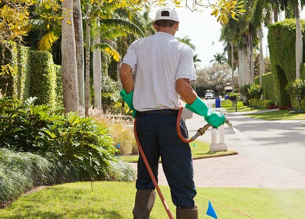 About Winona KS Pest Control